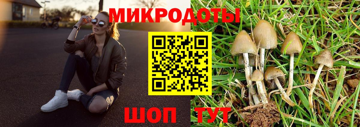 Псилоцибиновые грибы Psilocybine cubensis  Вход с VPN  наркошоп  Калач-на-Дону 