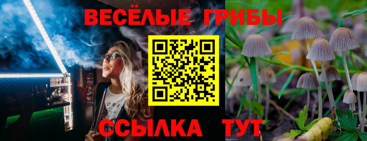 Псилоцибиновые грибы Cubensis Калач-на-Дону